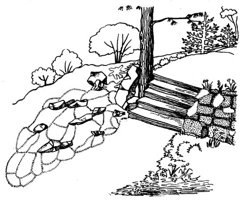 Каменистый садик (границы цветочных участков обозначены штрихами)