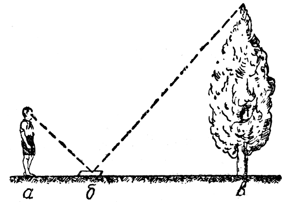 Рис. 58. Измерение высоты дерева при помощи зеркала