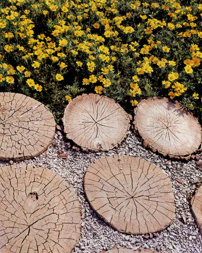 Кладка из деревянных кругляшков с эстетической точки зрения весьма эффектна. Благодаря ее нейтральной окраске поблизости можно располагать и более пестрые посадки 