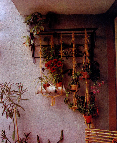  Если на балконе мало места и нет возможности разводить цветы в емкостях, стоящих на полу, то тогда, используя различные приспособления, растения в горшках и иных вегетационных сосудах подвешивают к потолку или закрепляют их на стенах 