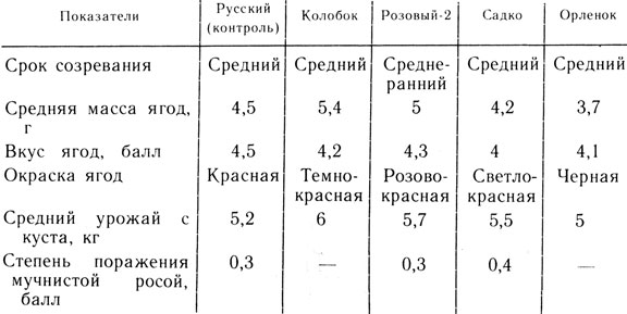 Таблица 4. Характеристика отдельных сортов крыжовника