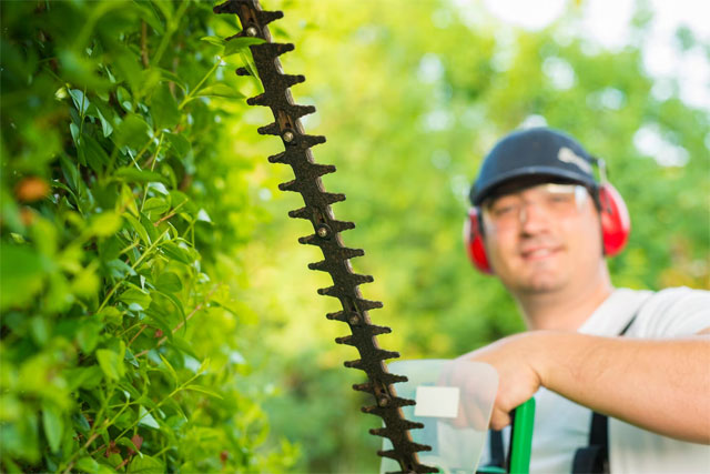 https://ru.freepik.com/free-photo/portrait-of-professional-gardener-holding-trimmer-in-the-yard_11133903.htm#query=%D0%BA%D1%83%D1%81%D1%82%D0%BE%D1%80%D0%B5%D0%B7&position=15&from_view=search&track=country_rows_v2